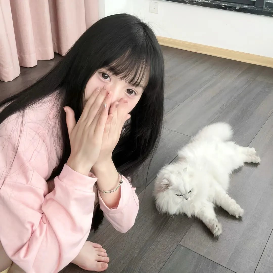 百分百感觉国语